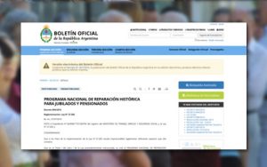 Boletín Oficial: Reglamentación Ley N° 27.260.